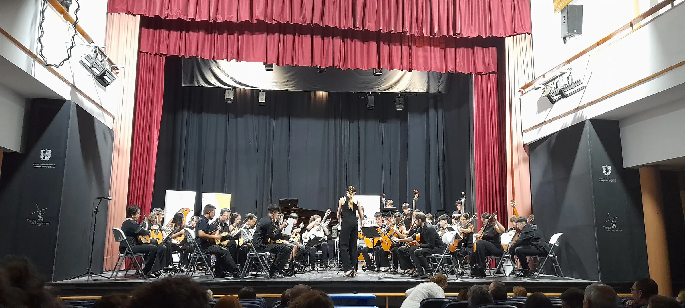 The plucked-string orchestra of the course, mid-concert.