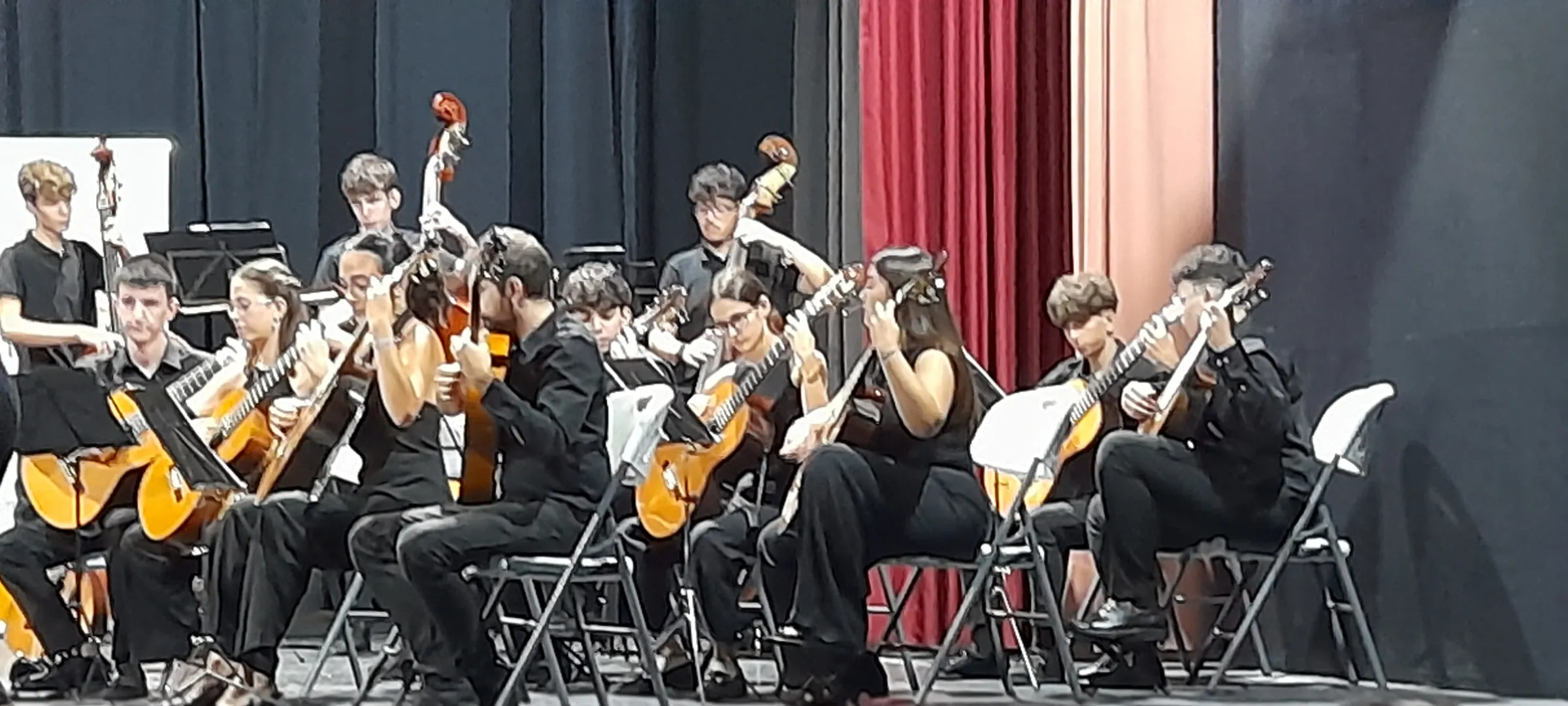 The guitar and plectrum ensemble mid-performance, seen from the front rows.